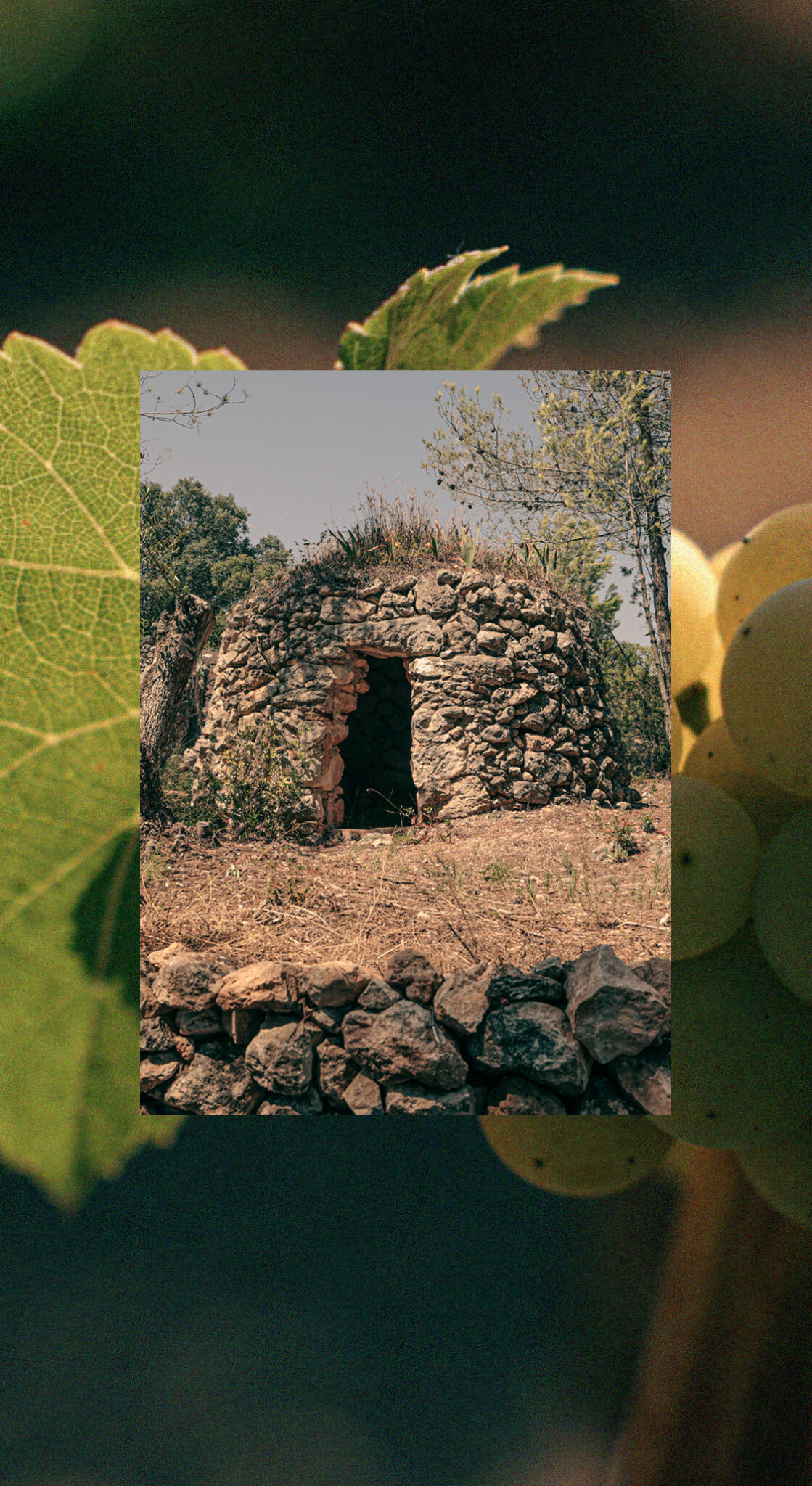 DO Penedès Copymouse